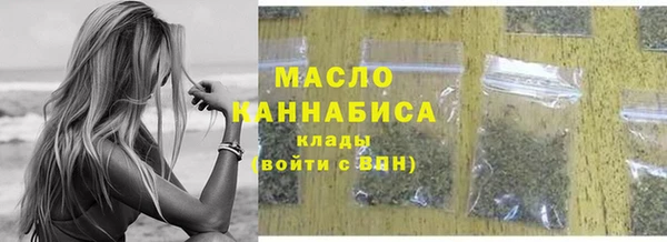 индика Володарск