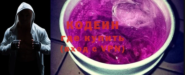 индика Володарск