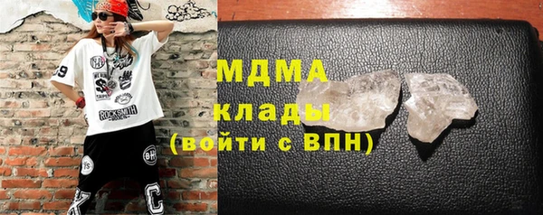 индика Володарск