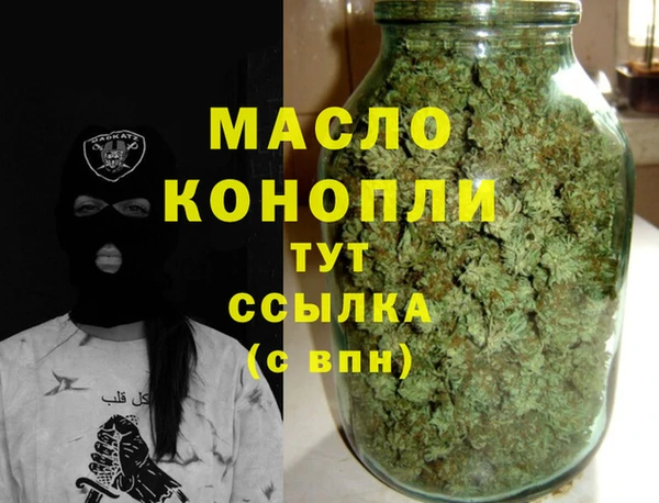 индика Володарск