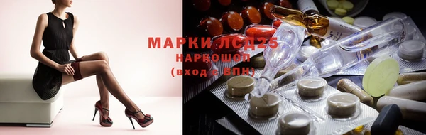 индика Володарск