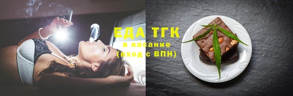 индика Володарск