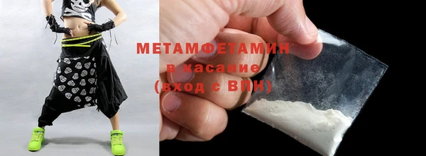 индика Володарск