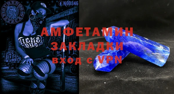 индика Володарск