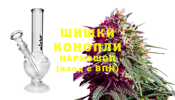 ГАЛЛЮЦИНОГЕННЫЕ ГРИБЫ Волосово