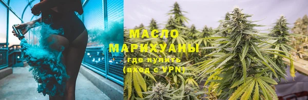 индика Володарск
